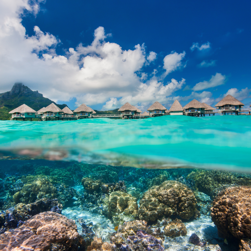 Overwater Bungalows